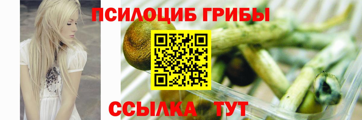 Киров  Псилоцибиновые грибы мицелий  Вход с VPN 
